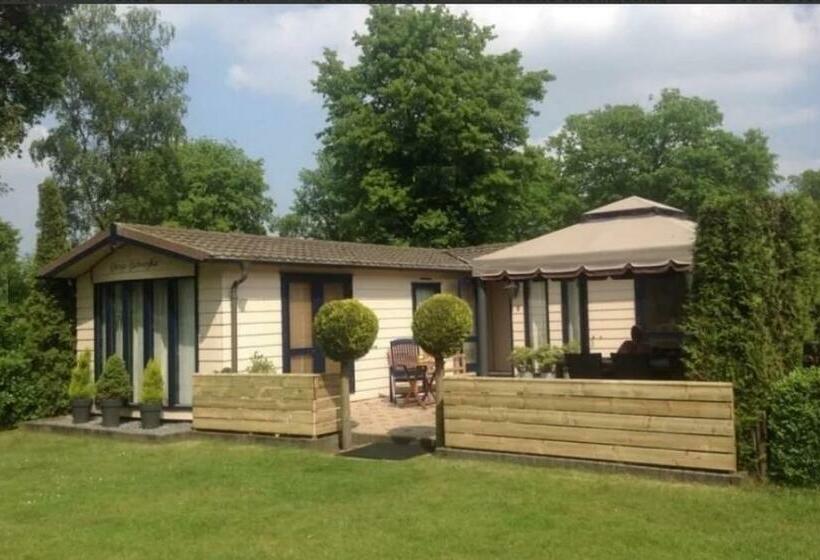 בקתת סופריור בת חדר 1, Datsja Baboeska