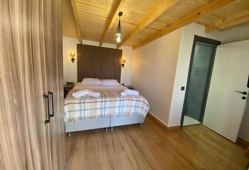 اتاق استاندارد اینتریور, Tinos Otel & Bağ Evi 12 Yaş üstü