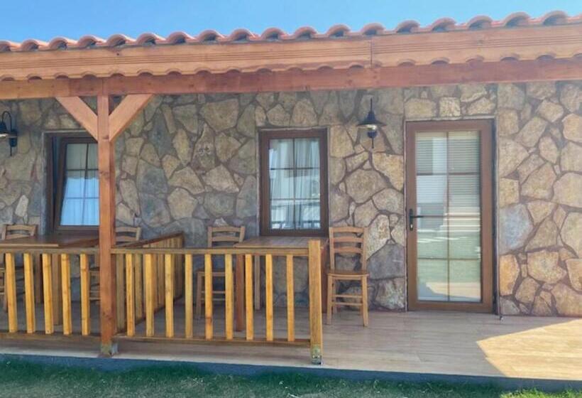 اتاق استاندارد اینتریور, Tinos Otel & Bağ Evi 12 Yaş üstü