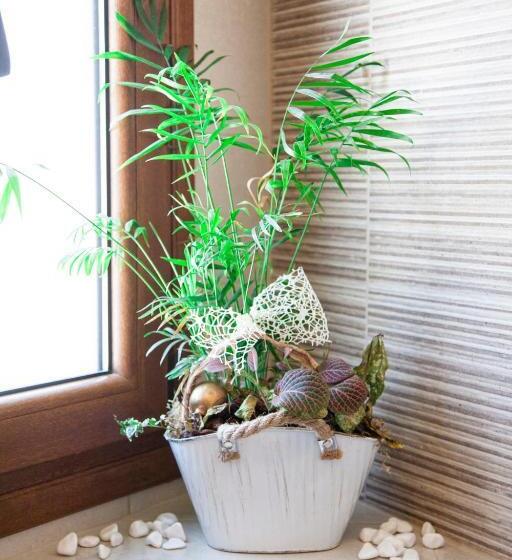 １ベッドルームドゥプレックスアパートメント, Afroditi