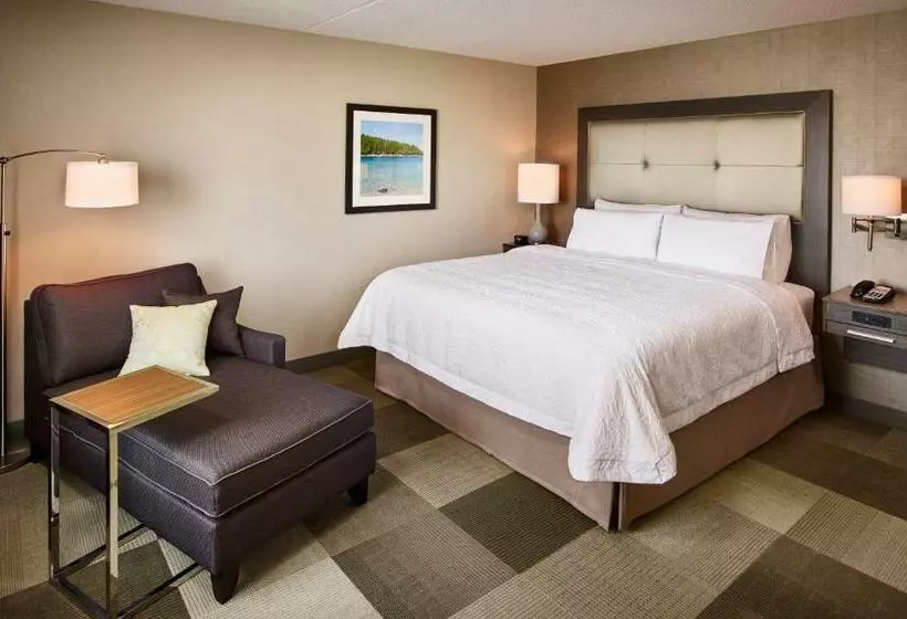 キングサイズベッドのスタンダードルーム, Hampton Inn By Hilton Sarnia/point Edward