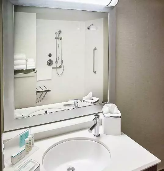 身障者適用キングサイズベッドルーム, Hampton Inn By Hilton Sarnia/point Edward