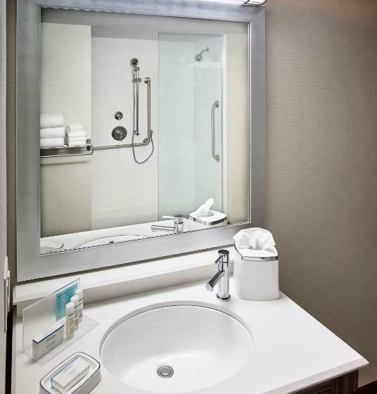 身障者適用キングサイズベッドルーム, Hampton Inn By Hilton Sarnia/point Edward