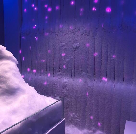 스탠다드 룸, Montana Chalet Hôtel & Spa