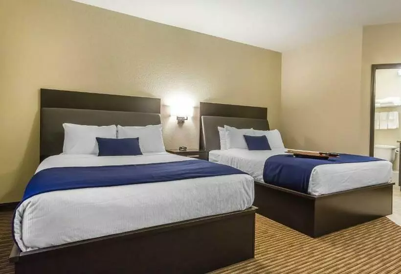 スイート, Quality Inn & Suites