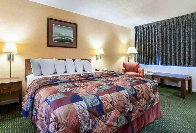 キングサイズベッドのスタンダードルーム, Rodeway Inn
