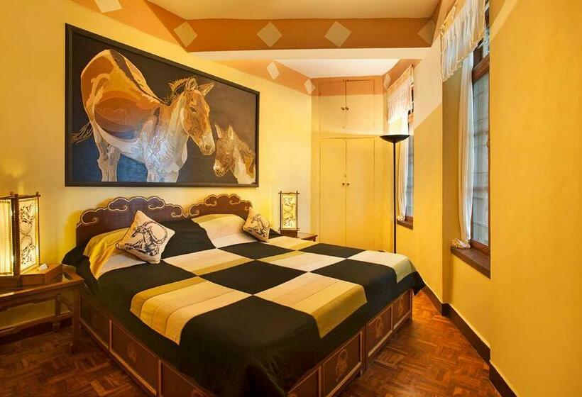 高级大房间, Norling House