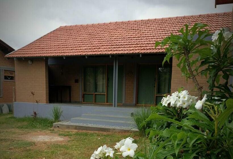 标准房带园景, Sunnyside Farmstay