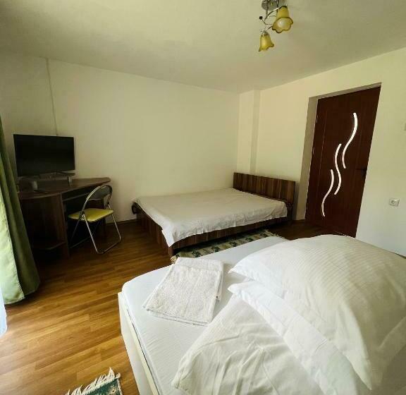 패밀리 룸, Casa Anca și Nicușor