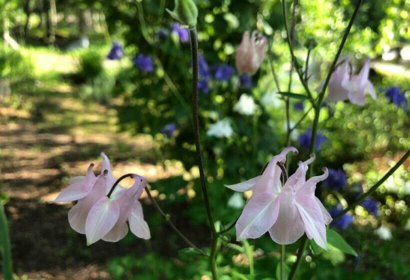 غرفة قياسية حمام مشترك, Punaisen Pihatorpan Kammarit