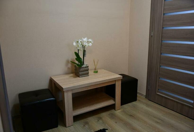 اتاق سوپریور سه تخته, Terra Panzió