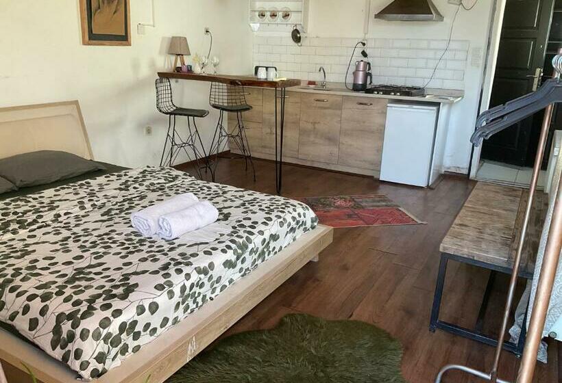 اتاق استاندارد با تراس, Gaia Art Hostel