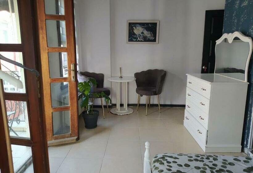 اتاق لوکس با بالکن, Gaia Art Hostel