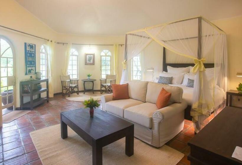 جناح مزوَّد بشرفة, Chara Africa