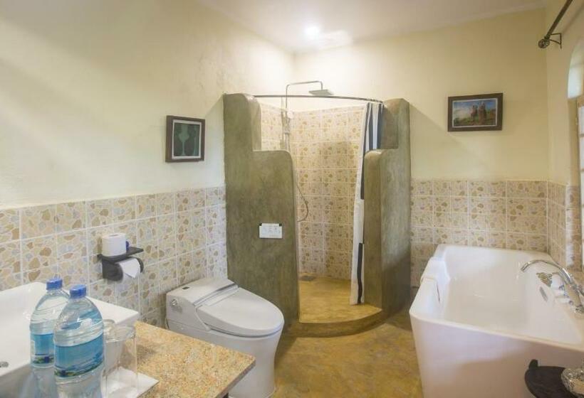 جناح مزوَّد بشرفة, Chara Africa