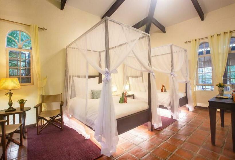 غرفة ديلوكس, Chara Africa