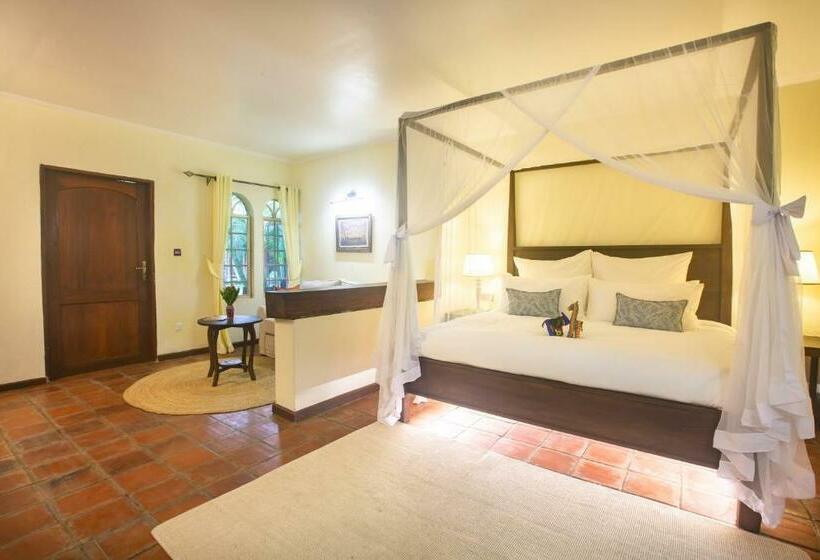 جناح مطلّ علي الحديقة, Chara Africa