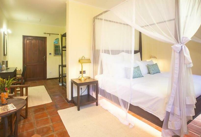 جناح مطلّ علي الحديقة, Chara Africa