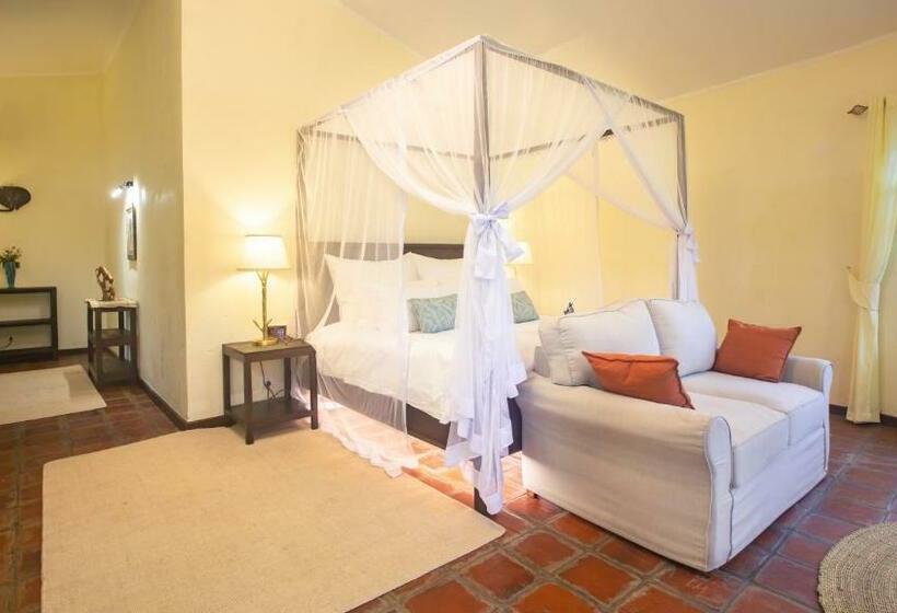 جناح مطلّ علي الحديقة, Chara Africa