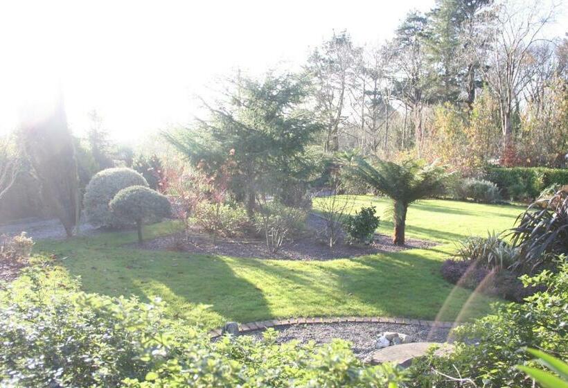 غرفة سوبيريور سرير كينج, Lis Ardagh Lodge