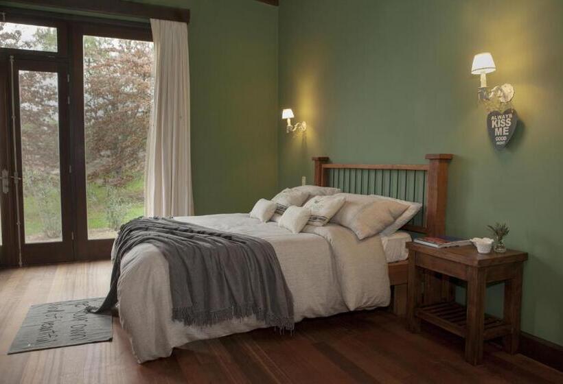 Дом 4 Спальни, Casa Chic Carmelo  Club De Campo