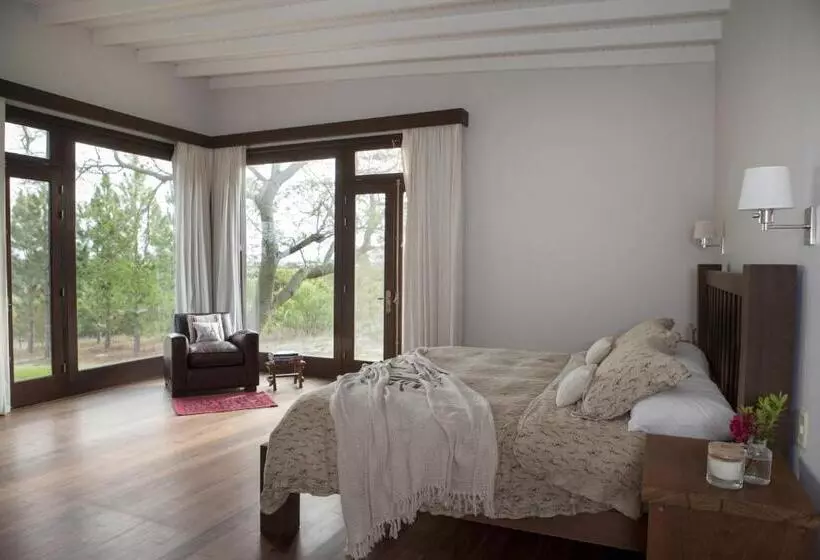 ４ベッドルームハウス, Casa Chic Carmelo  Club De Campo
