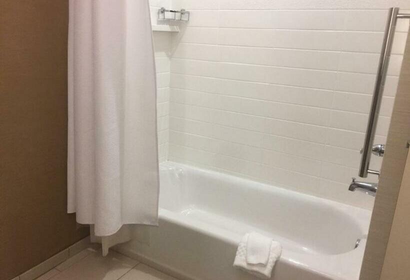 Номер Стандарт, Fairfield Inn & Suites By Marriott Douglas