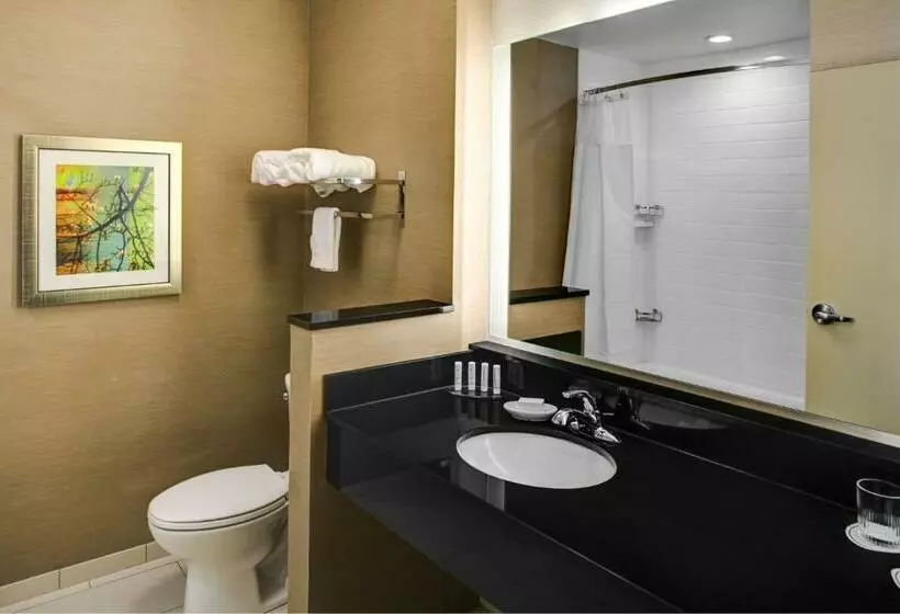 スタンダードルーム, Fairfield Inn & Suites By Marriott Douglas