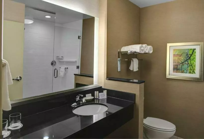 キングサイズベッドのスタンダードルーム, Fairfield Inn & Suites By Marriott Douglas