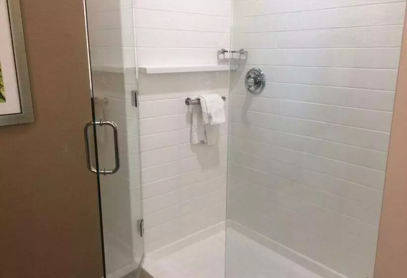 キングサイズベッドのスイートルーム, Fairfield Inn & Suites By Marriott Douglas