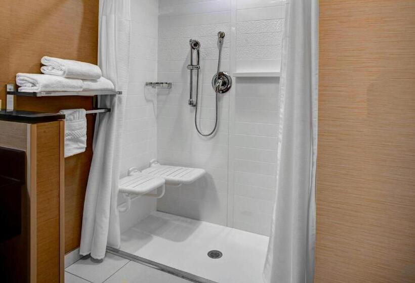 חדר סטנדרט עם מיטת קינג, Fairfield Inn & Suites By Marriott Douglas