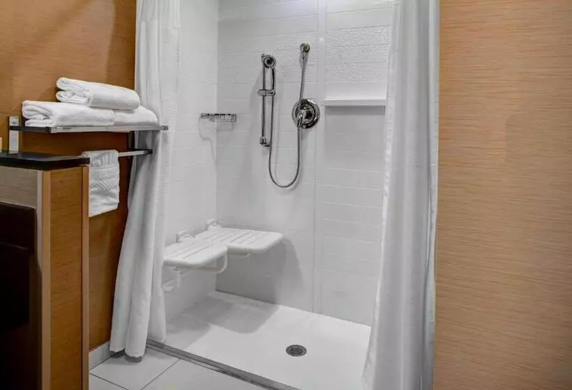 キングサイズベッドのスタンダードルーム, Fairfield Inn & Suites By Marriott Douglas