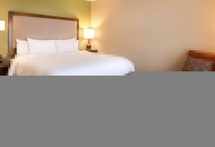 اتاق استاندارد با 2 تخت دوبل, Hampton Inn & Suites Silverthorne