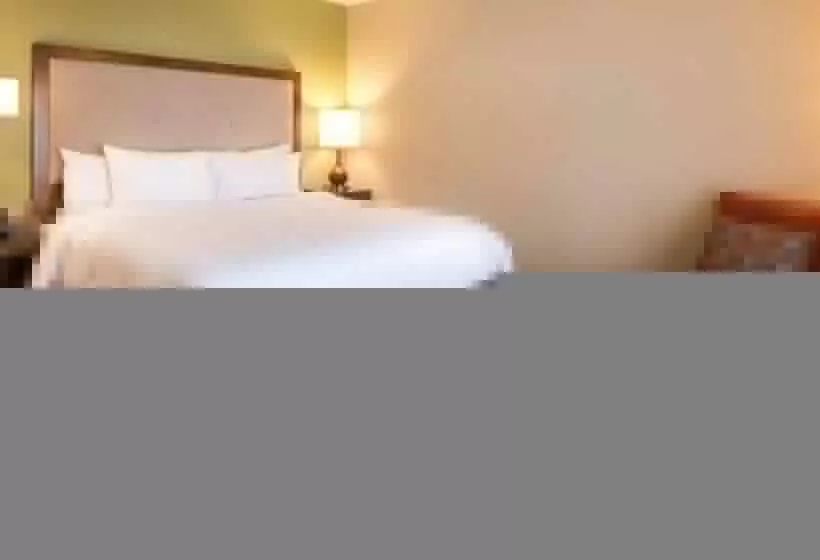 キングサイズベッドのスタンダードルーム, Hampton Inn & Suites Silverthorne