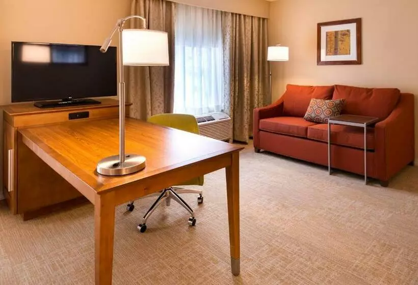 キングサイドベッドのスタンダードワンルーム, Hampton Inn & Suites Silverthorne