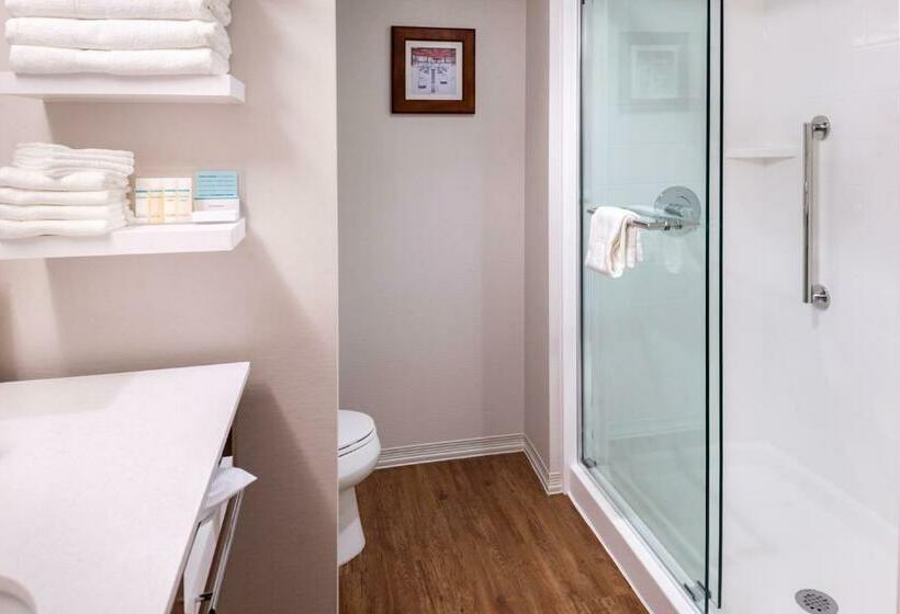 استودیو استاندارد با تخت کینگ, Hampton Inn & Suites Silverthorne