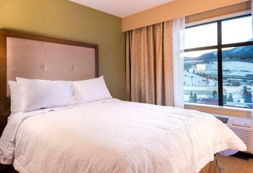 استودیو استاندارد با تخت کینگ, Hampton Inn & Suites Silverthorne