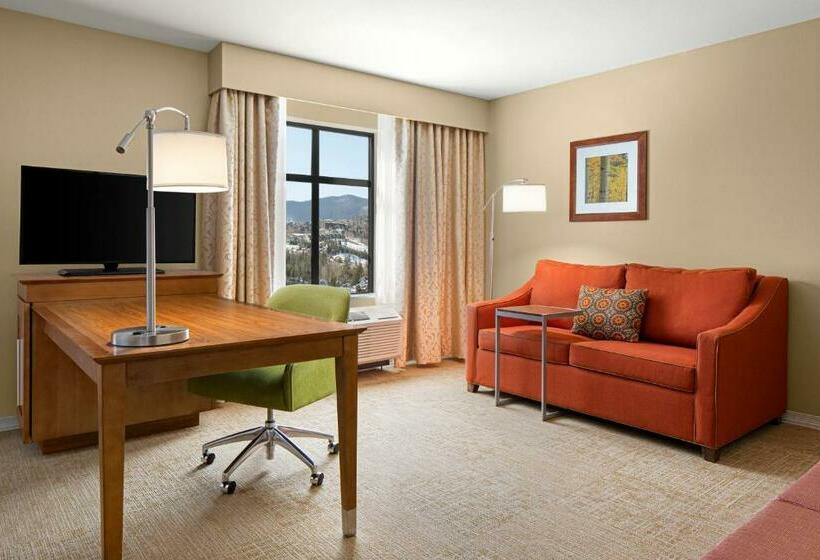 Студио Стандарт Кровать Кинг, Hampton Inn & Suites Silverthorne
