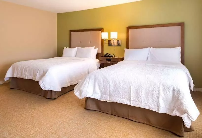 ２ダブルベッドのスタンダードルーム, Hampton Inn & Suites Silverthorne