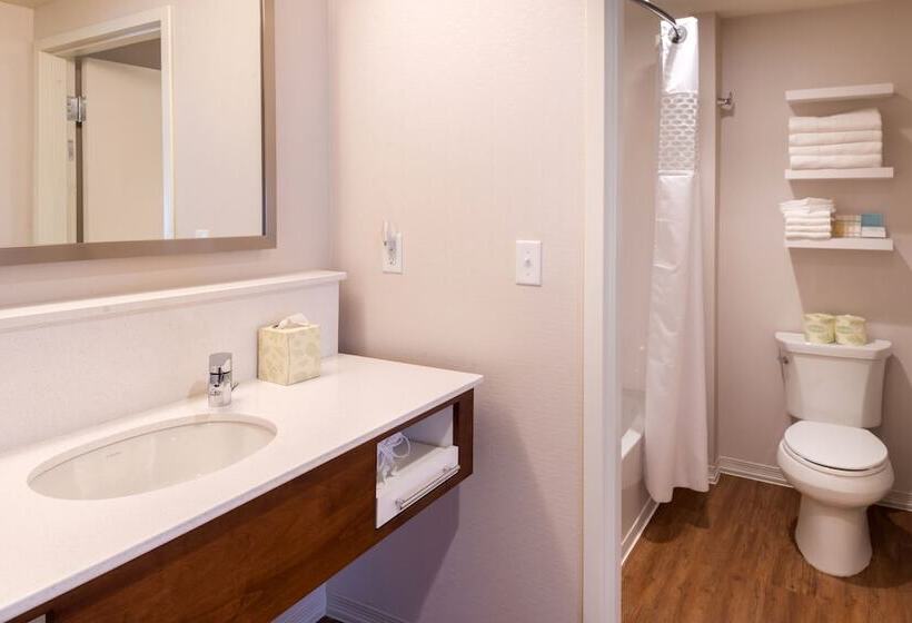 Номер Стандарт 2 Двуспальные Кровати, Hampton Inn & Suites Silverthorne