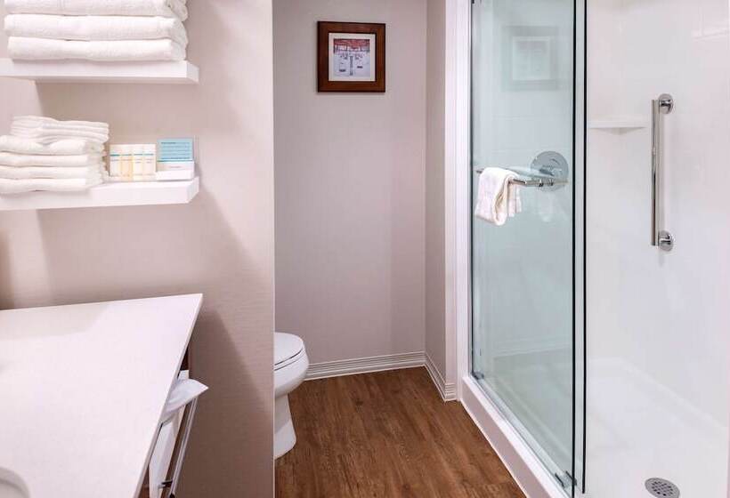 Студия Стандарт Двуспальная Кровать, Hampton Inn & Suites Silverthorne