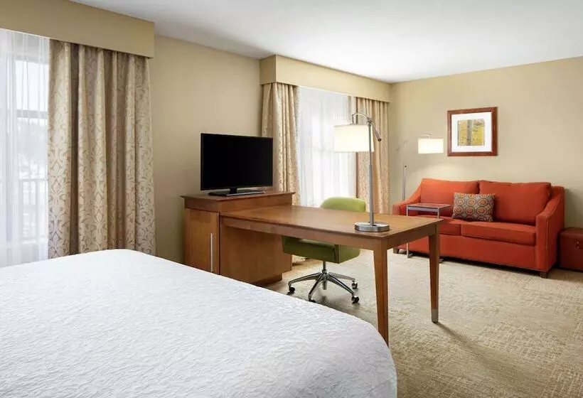 ダブルベッドのスタンダードスタジオ, Hampton Inn & Suites Silverthorne