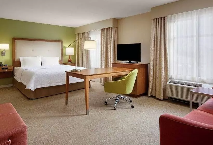 ダブルベッドのスタンダードスタジオ, Hampton Inn & Suites Silverthorne