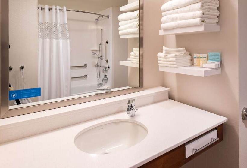 Студия Стандарт Двуспальная Кровать, Hampton Inn & Suites Silverthorne