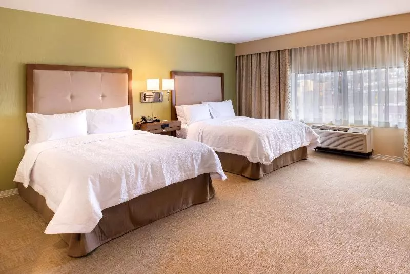 マウンテンビュースタンダードルーム, Hampton Inn & Suites Silverthorne