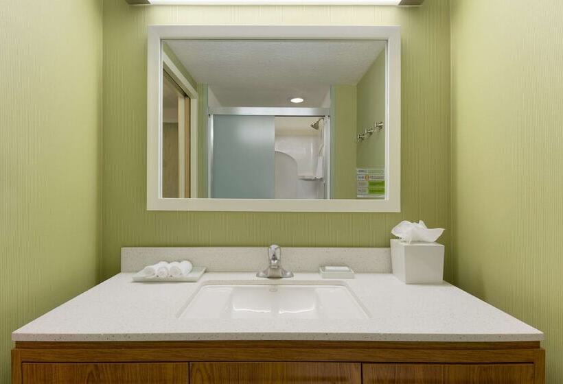 Люкс Адаптированный для Инвалидов, Home2 Suites By Hilton Gainesville Medical Center