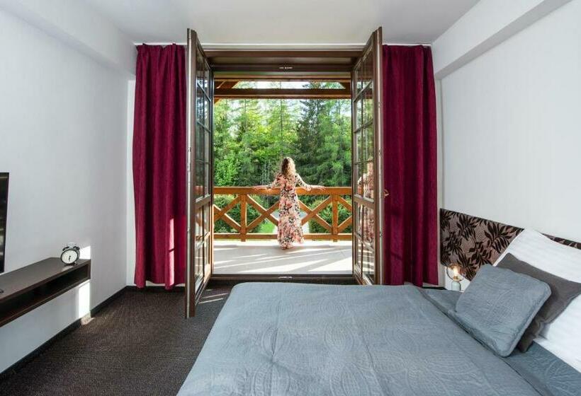 Номер Стандарт, Penzion Sileo