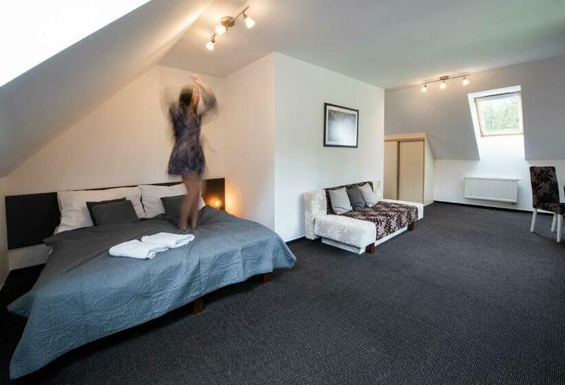 Номер Стандарт, Penzion Sileo