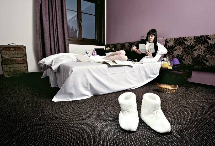 Номер Deluxe, Penzion Sileo