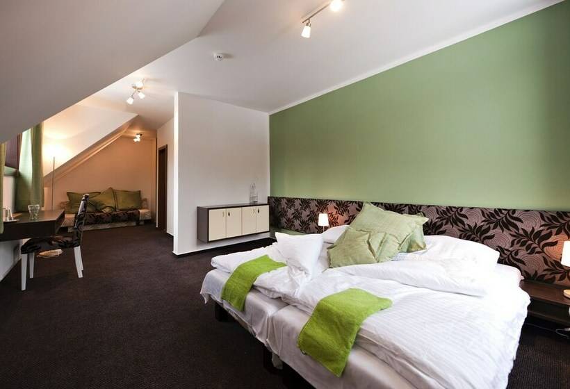 Номер Стандарт, Penzion Sileo